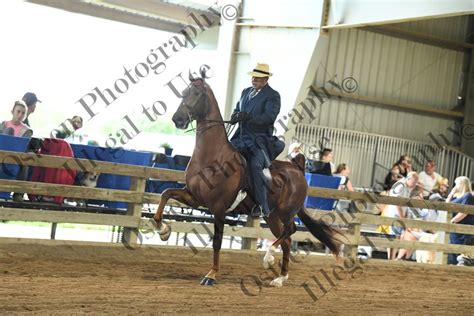 oshkosh charity horse show 2024 schedule|OSHKOSH CHARITY : June 26.